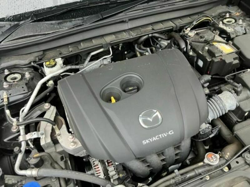 CX-30