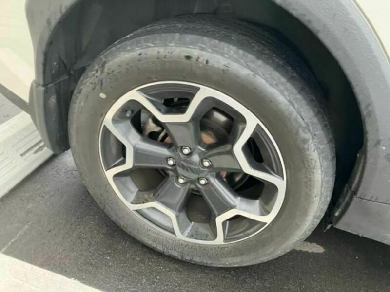 XV