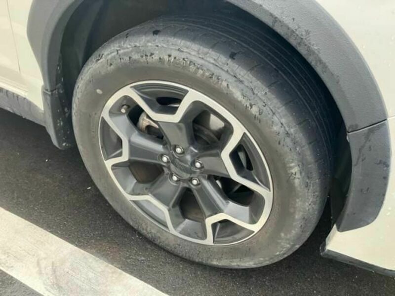XV