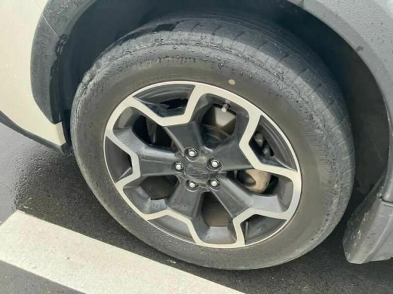 XV