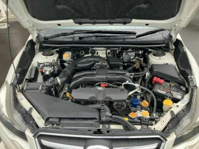 XV