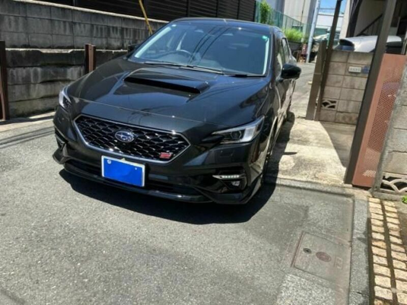 LEVORG-0