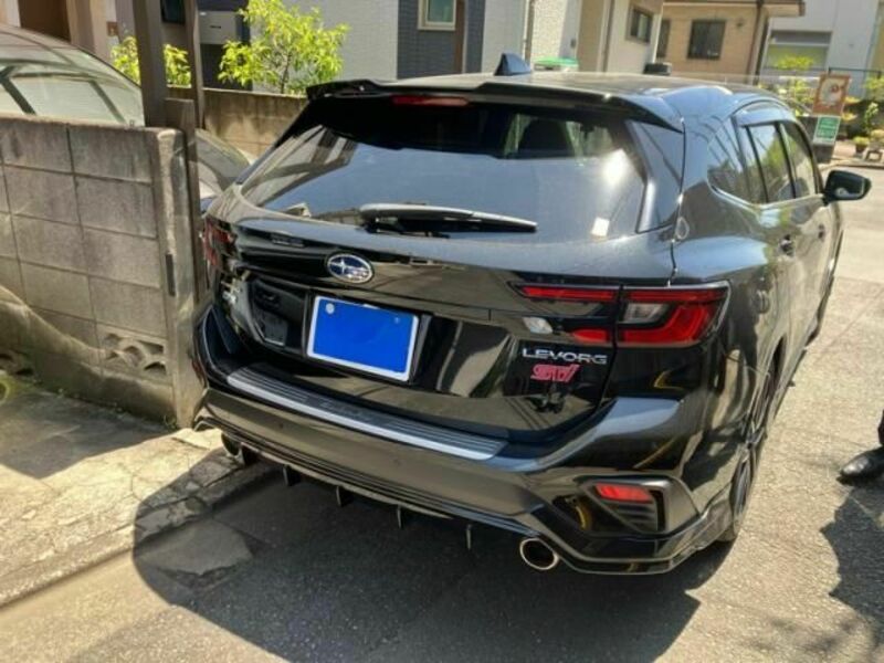 LEVORG