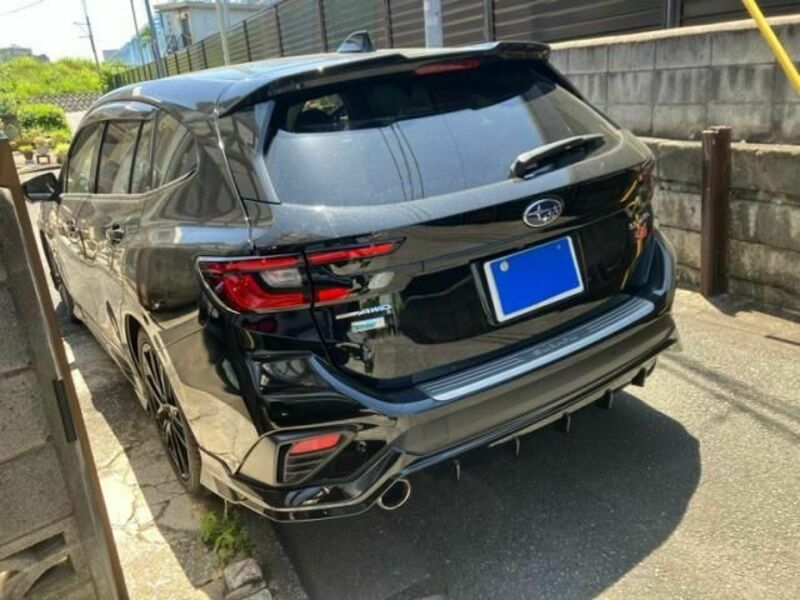 LEVORG