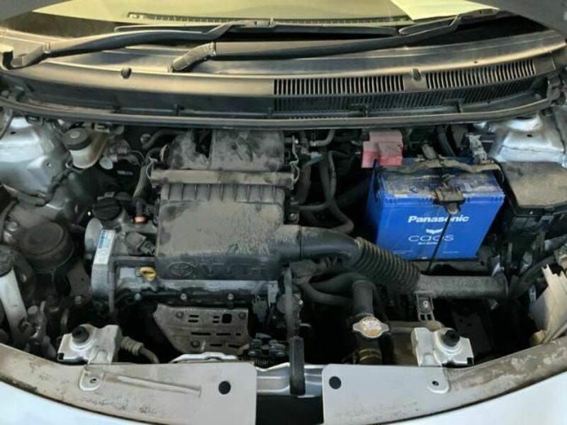 BELTA