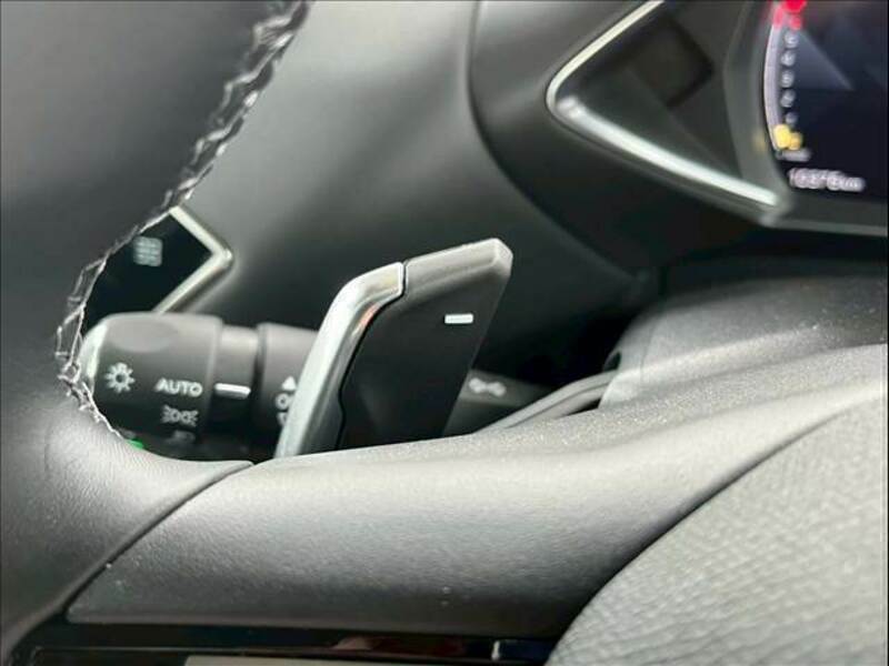 DS3