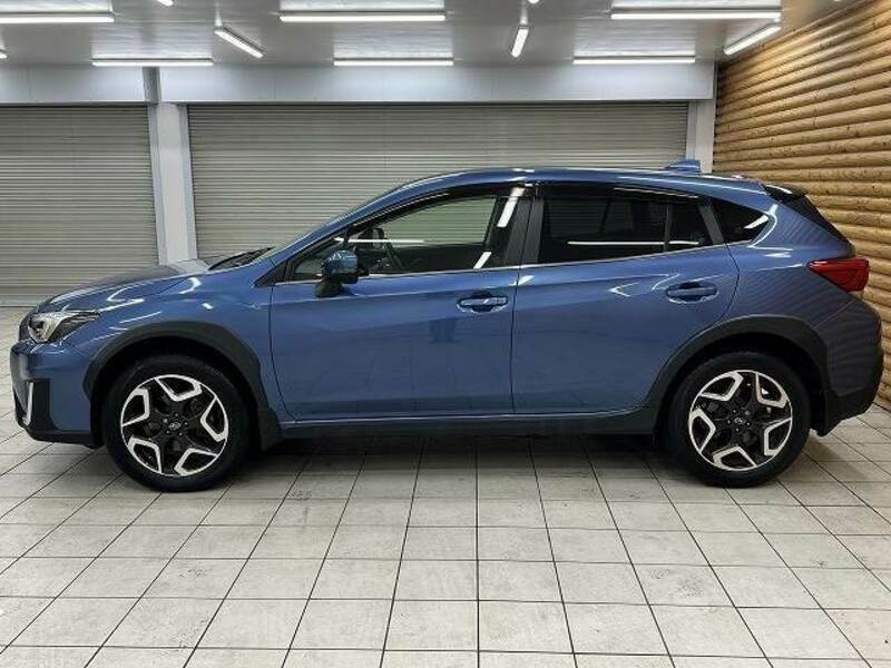 XV