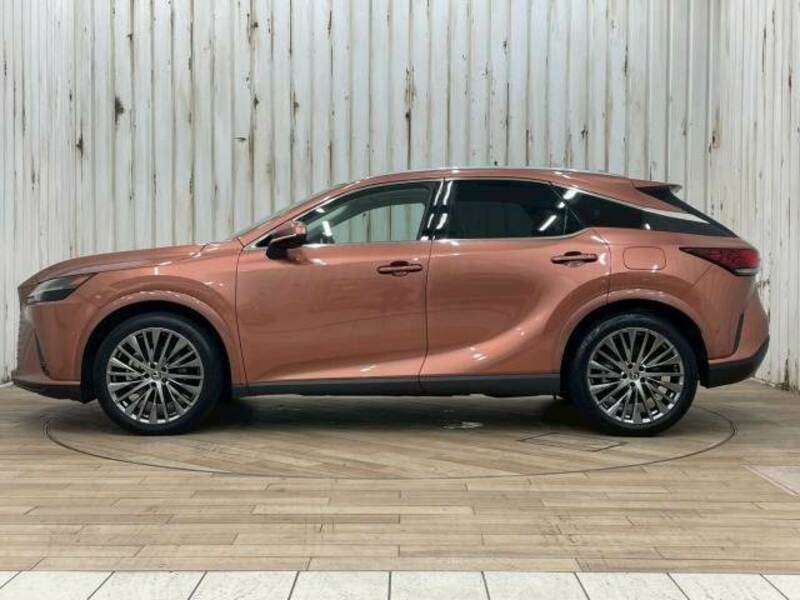 RX