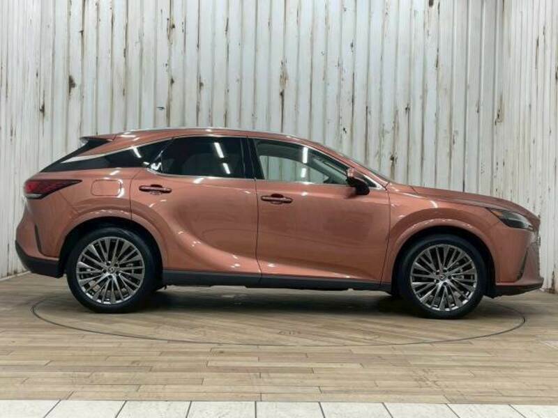 RX