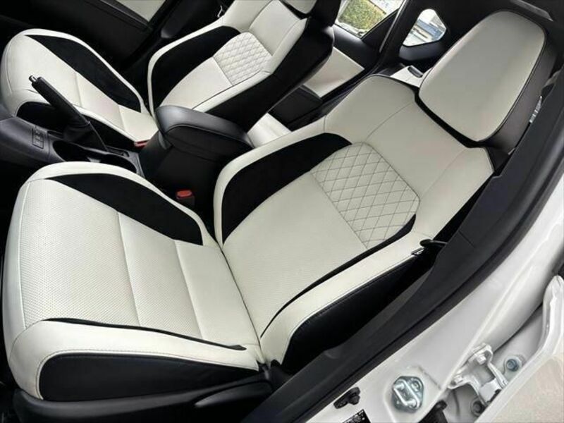 AURIS HYBRID
