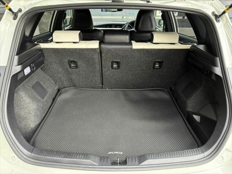 AURIS HYBRID