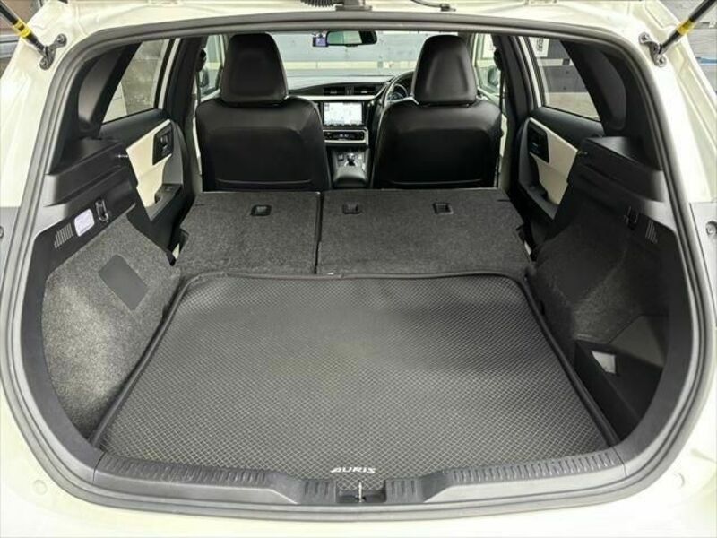 AURIS HYBRID