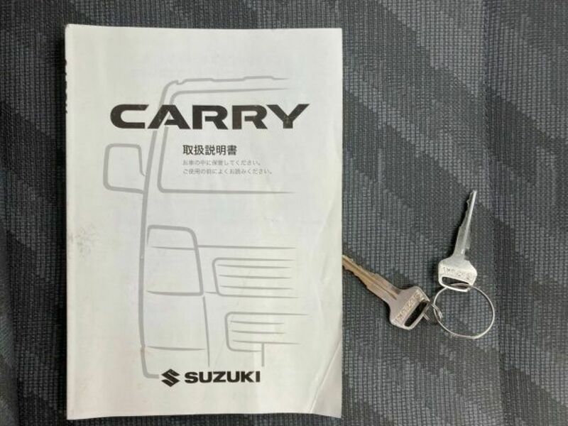 CARRY TRUCK