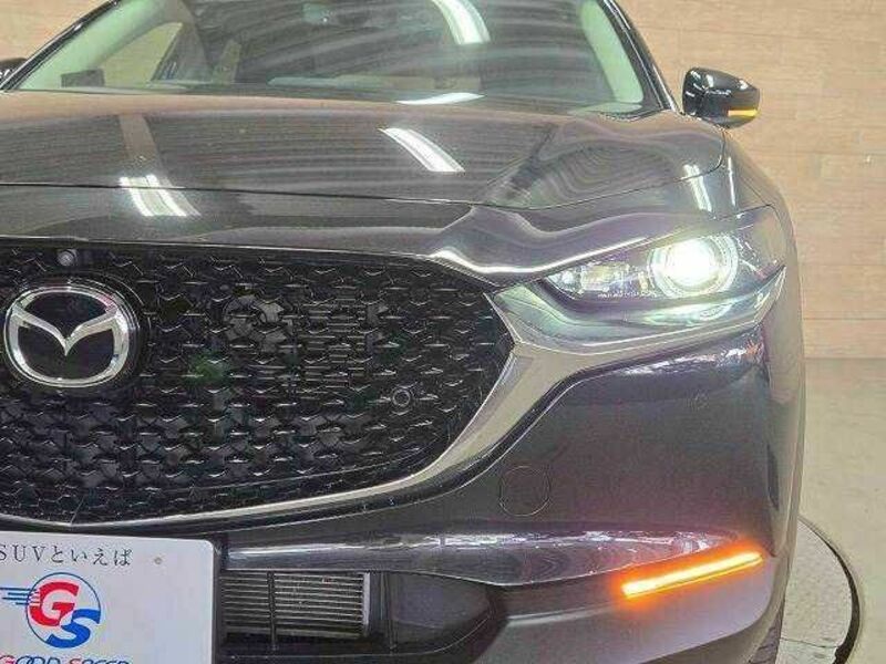 CX-30