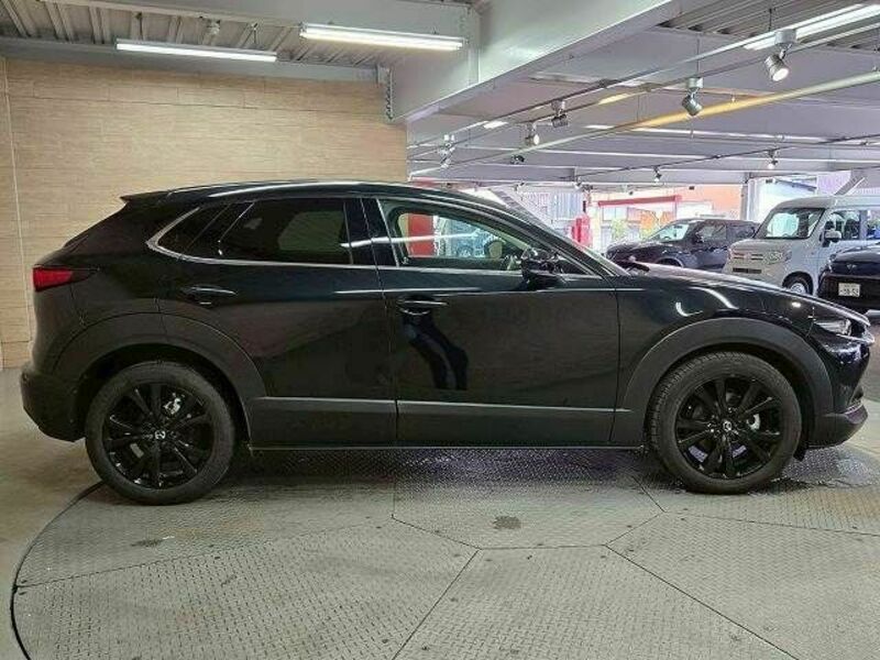 CX-30