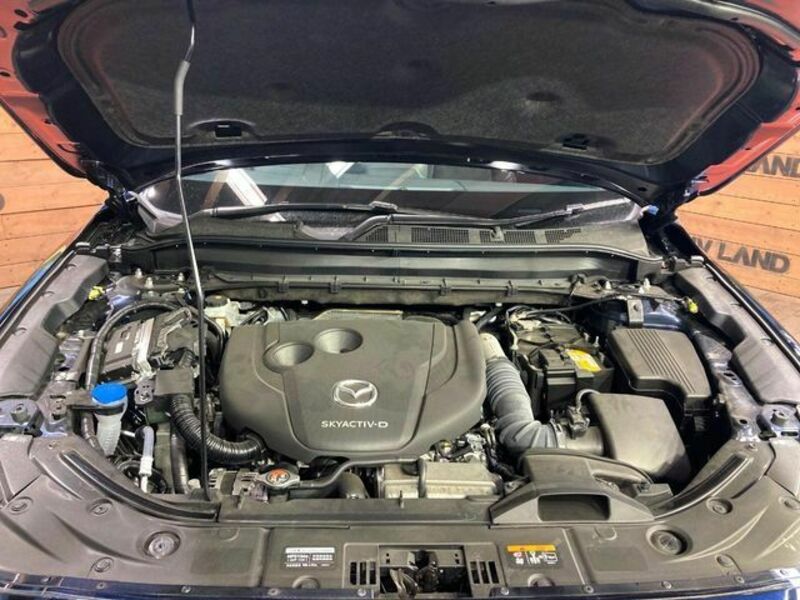 CX-8