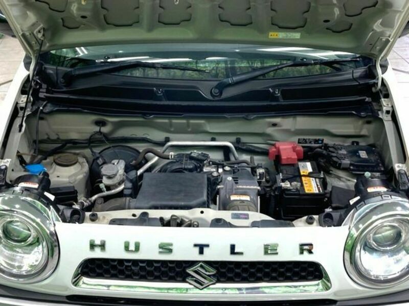 HUSTLER