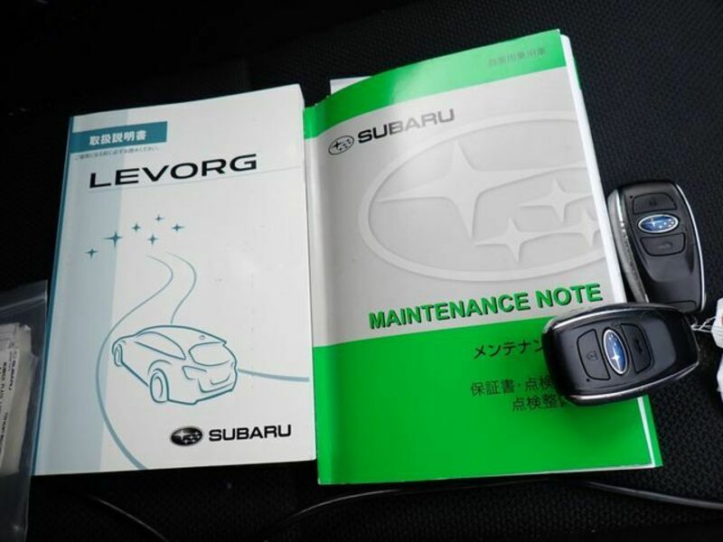 LEVORG