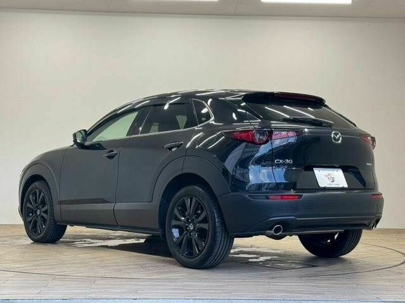 CX-30