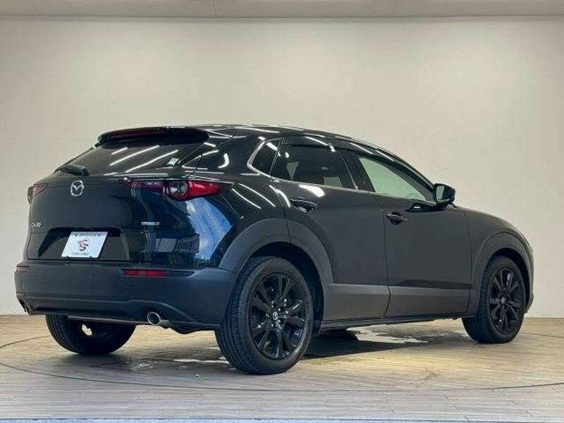 CX-30