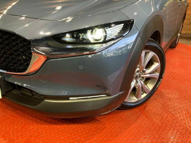 CX-30