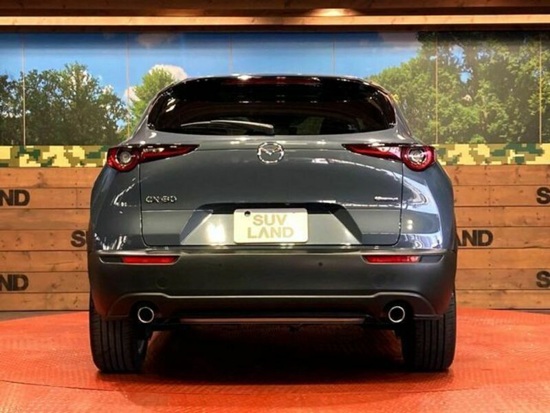 CX-30