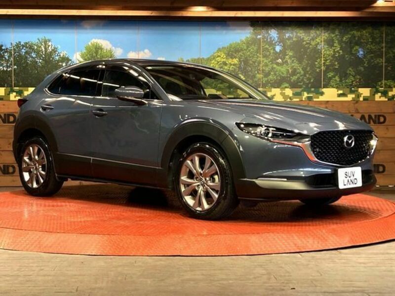 CX-30