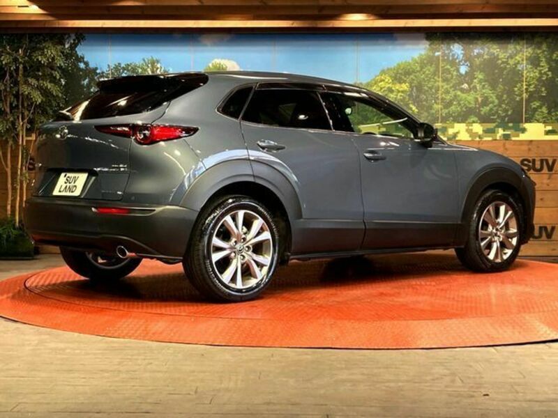 CX-30