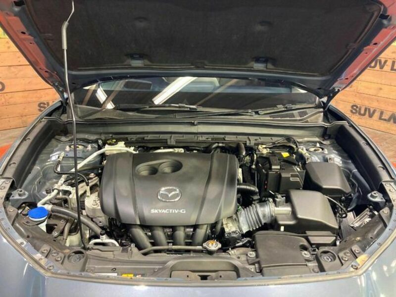 CX-30