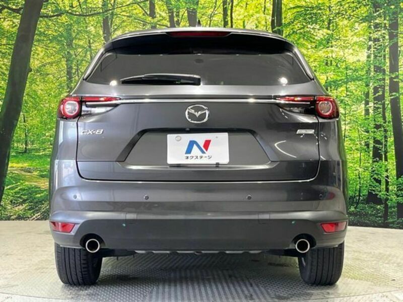 CX-8