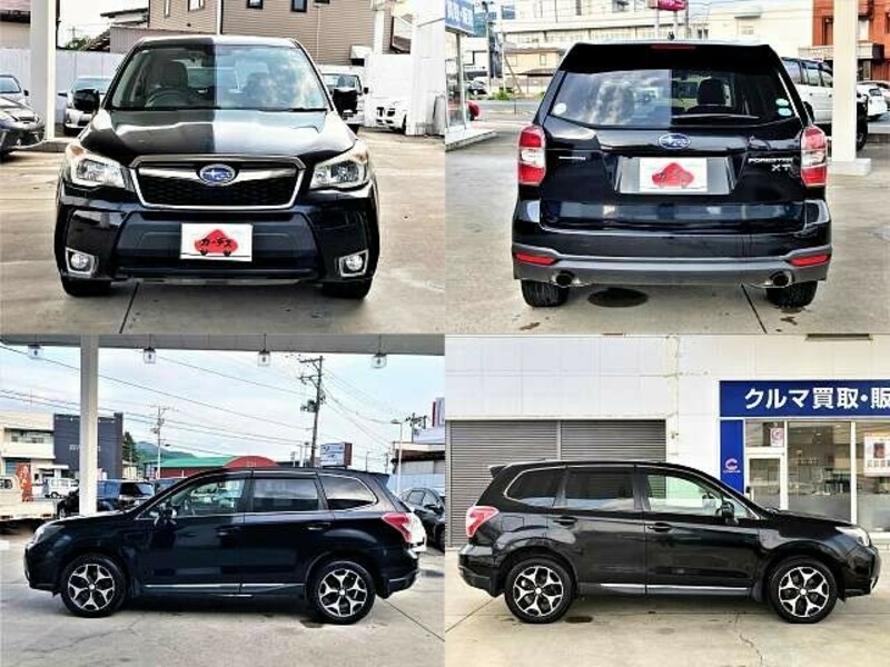 FORESTER