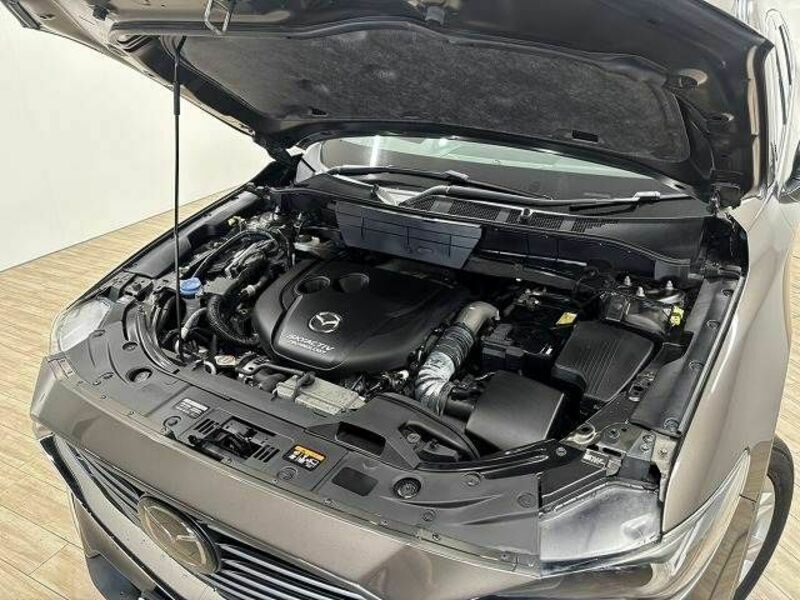 CX-8