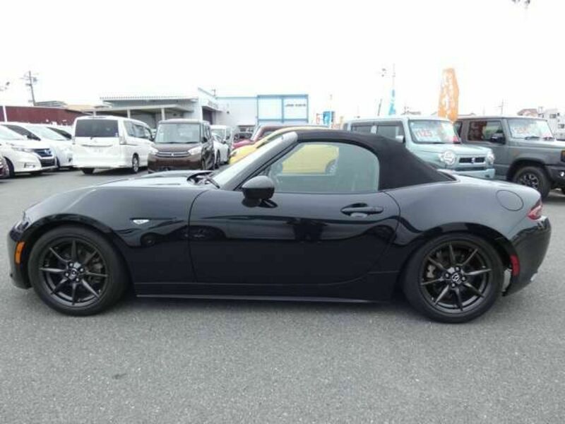 ROADSTER