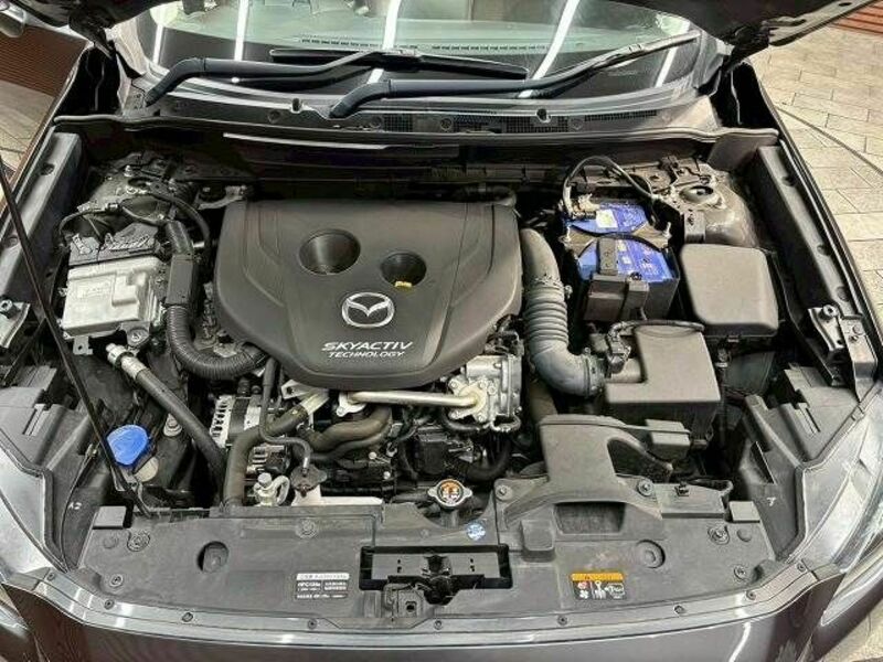 CX-3