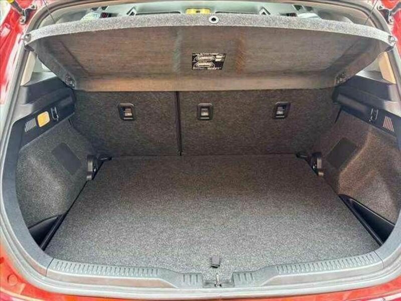 AURIS