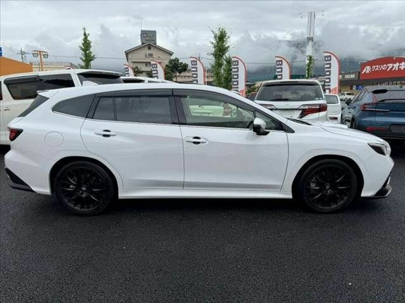 LEVORG