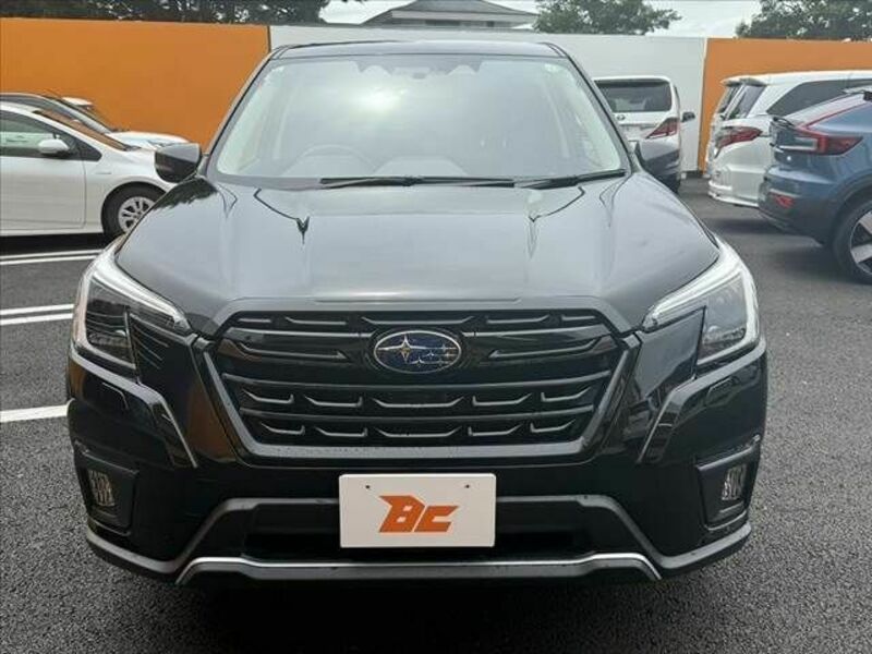 FORESTER