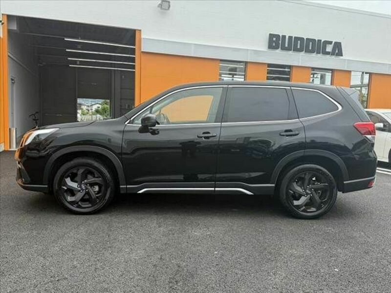 FORESTER