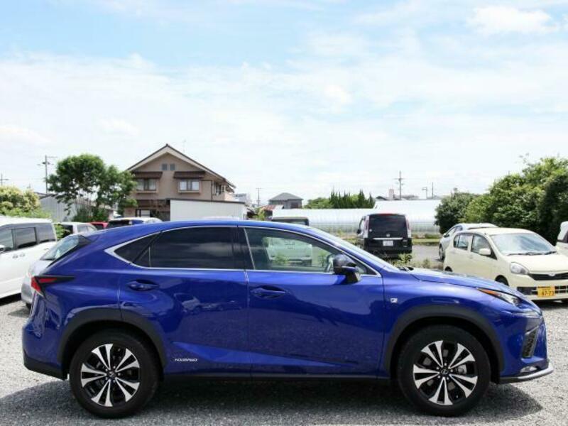 NX