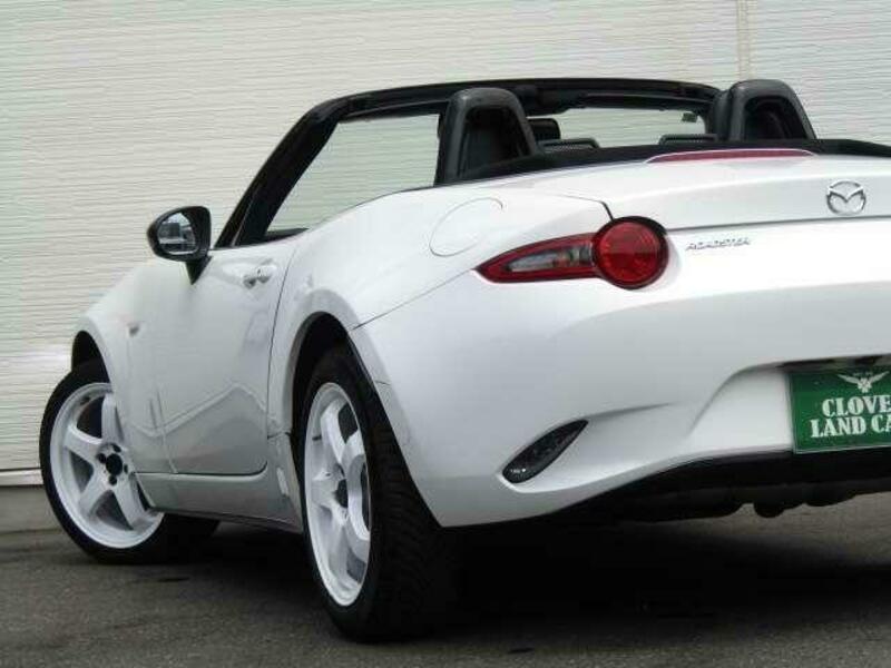 ROADSTER