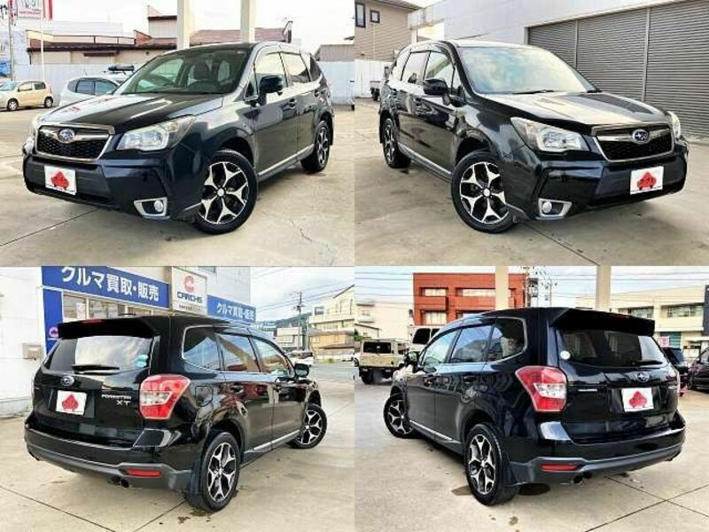 FORESTER