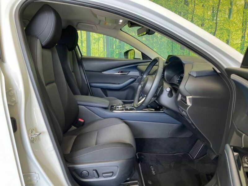 CX-30