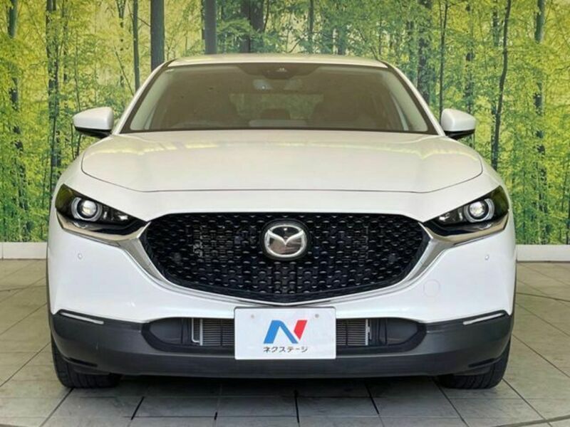 CX-30