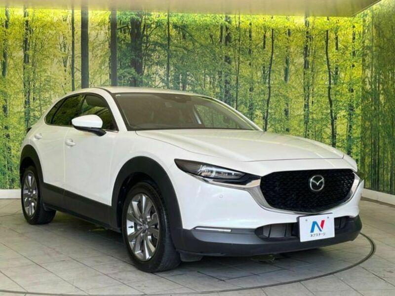 CX-30