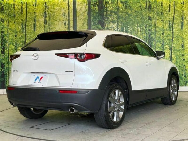 CX-30