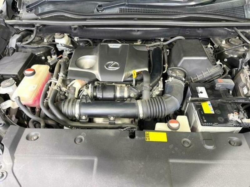 NX