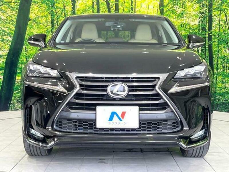 NX