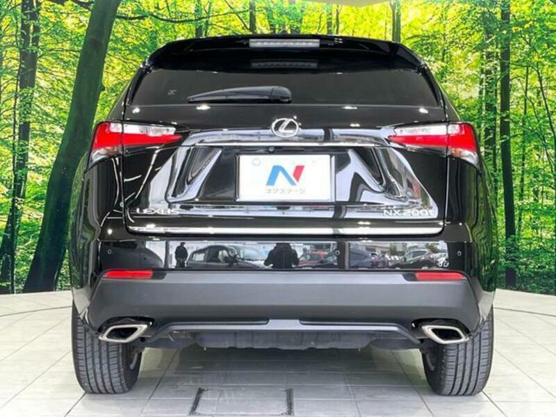 NX