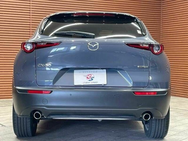 CX-30