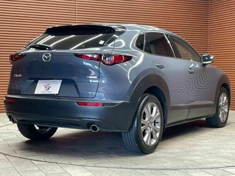 CX-30